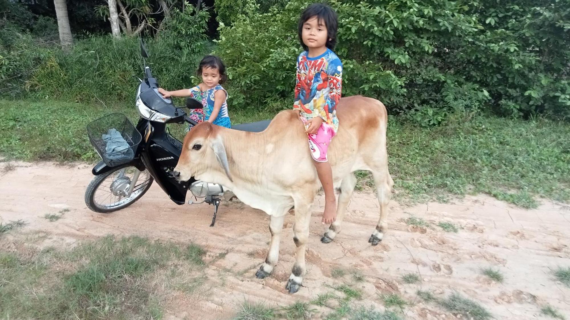 Kakrona Pouk Homestay Siem Reap Bagian luar foto